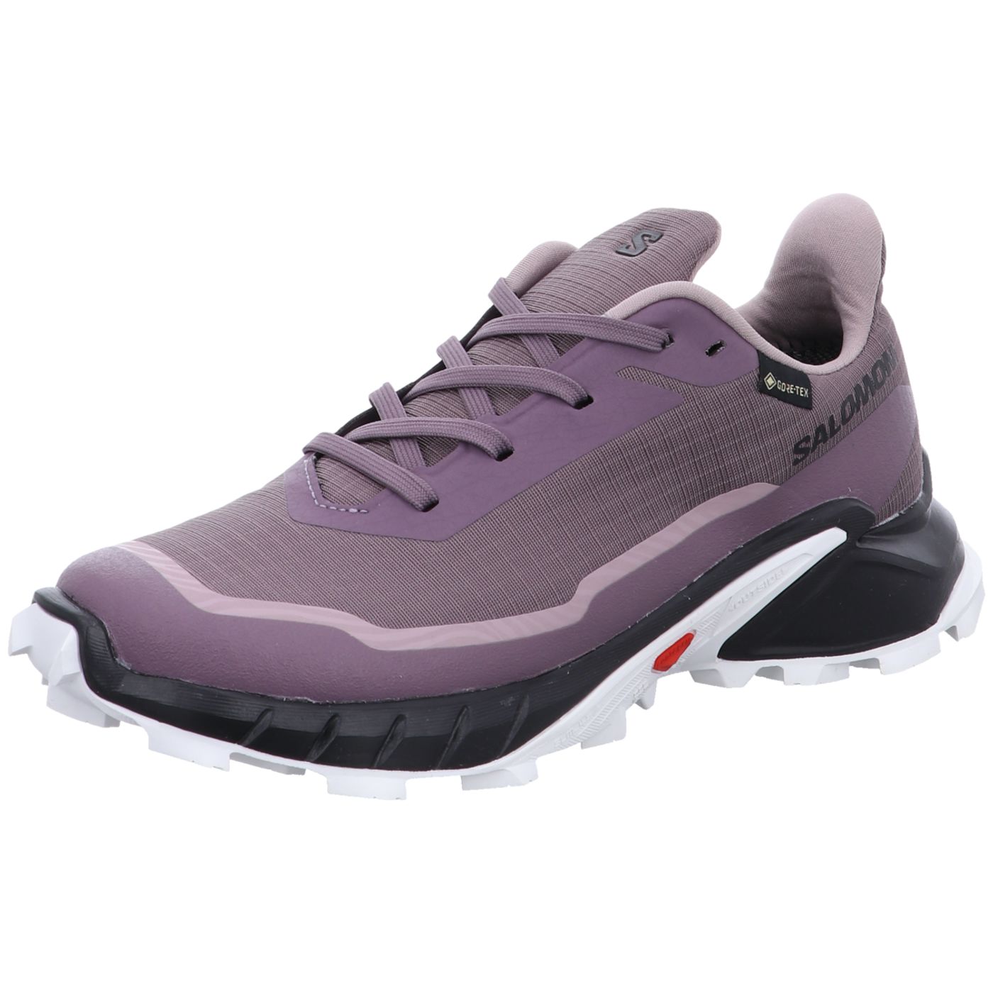 Bild 1 - Salomon Schnürschuh Alphacross 5 GTX W