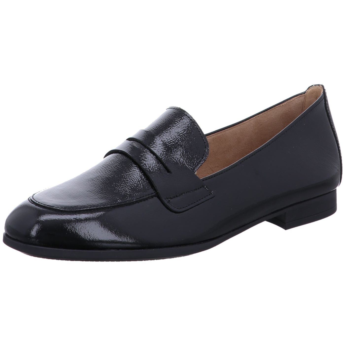 Bild 1 - Gabor Pump
