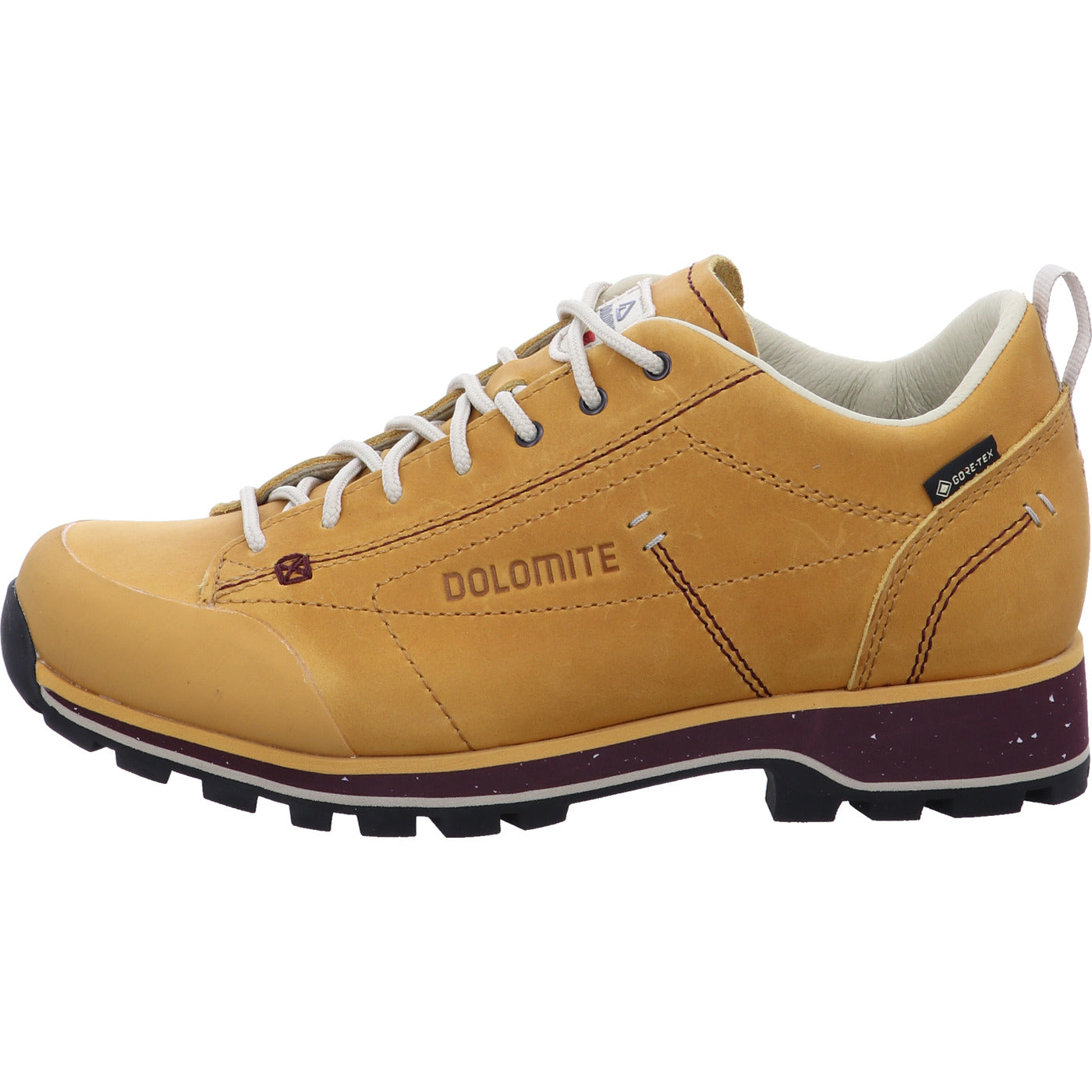 Dolomite Wanderschuh 54 Low Fg Evo GTX