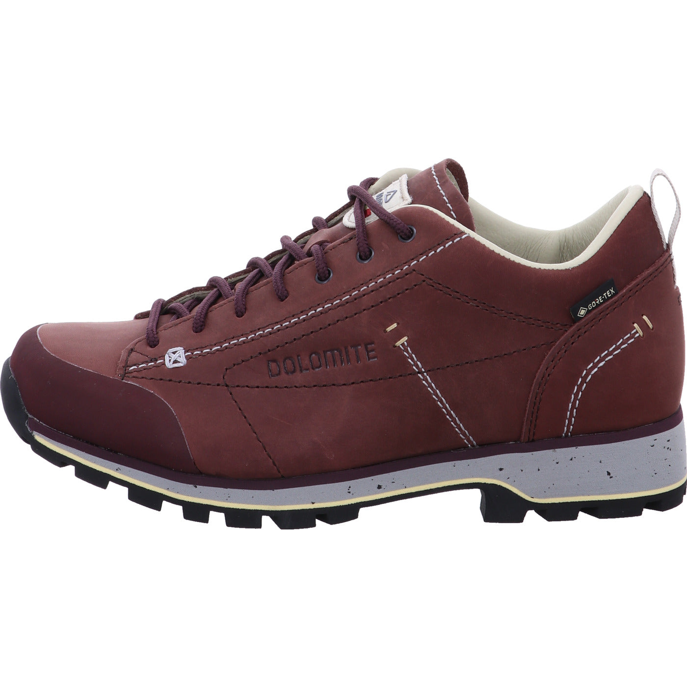 Dolomite Wanderschuh 54 Low Fg Evo GTX