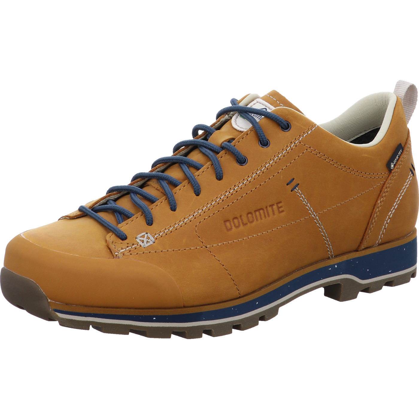 Dolomite Wanderschuh 54 Low Fg Evo GTX