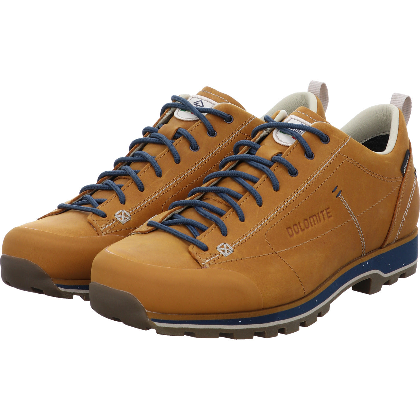 Dolomite Wanderschuh 54 Low Fg Evo GTX
