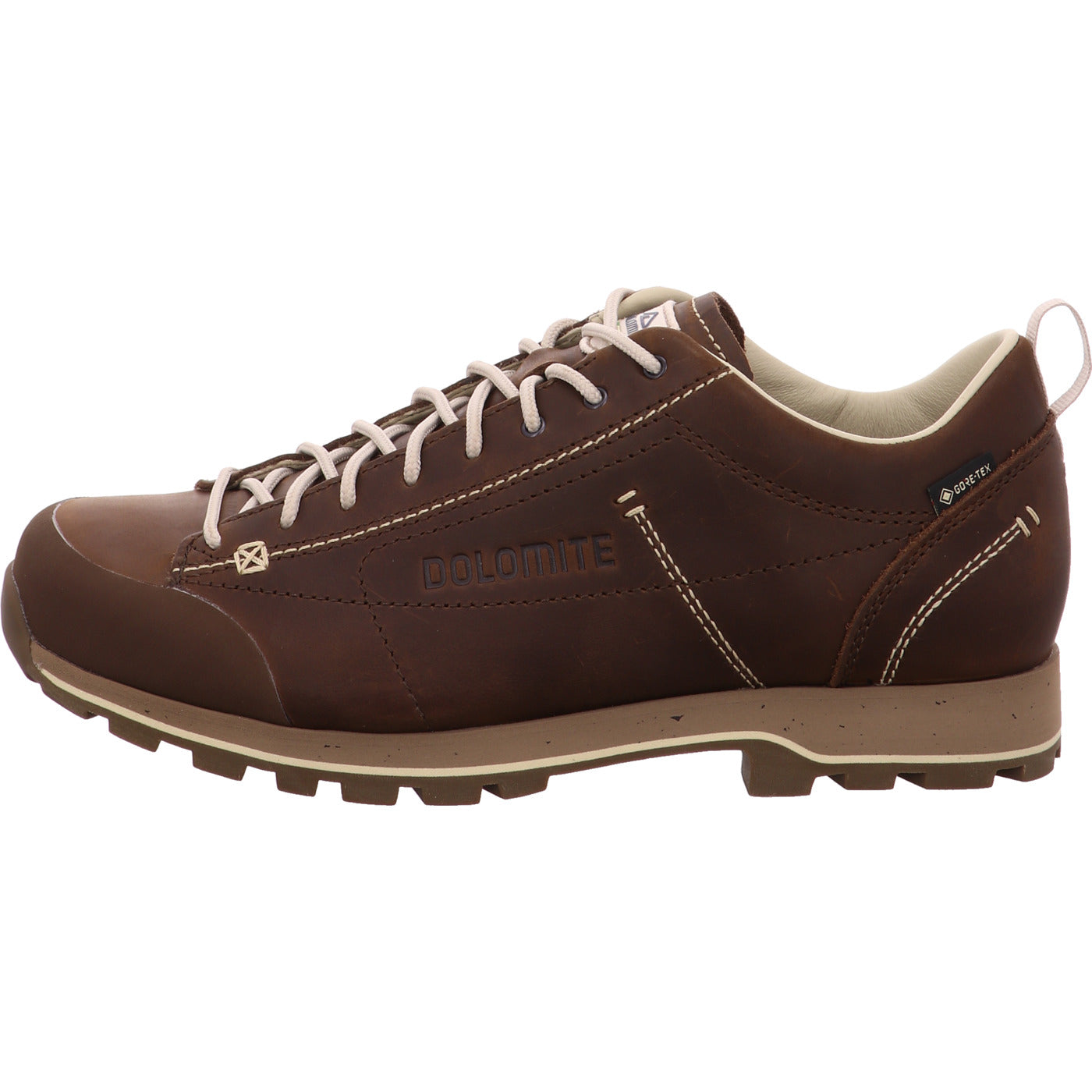 Dolomite Wanderschuh 54 Low Fg Evo GTX
