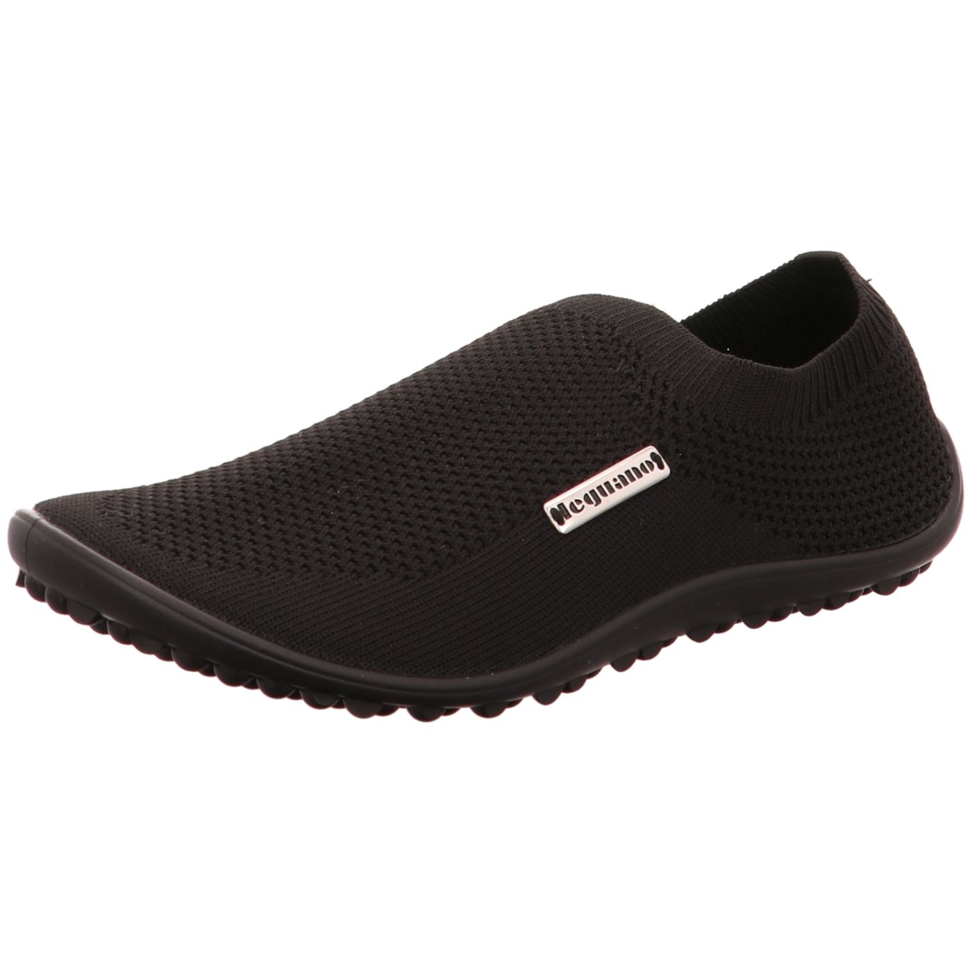 Bild 1 - Leguano Slipper scio