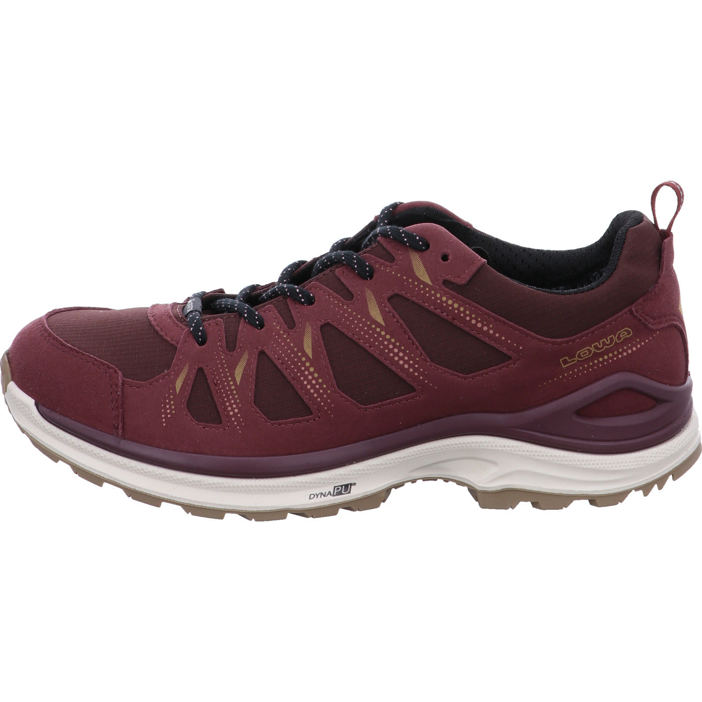 Lowa Wanderschuh INNOX EVO II GTX