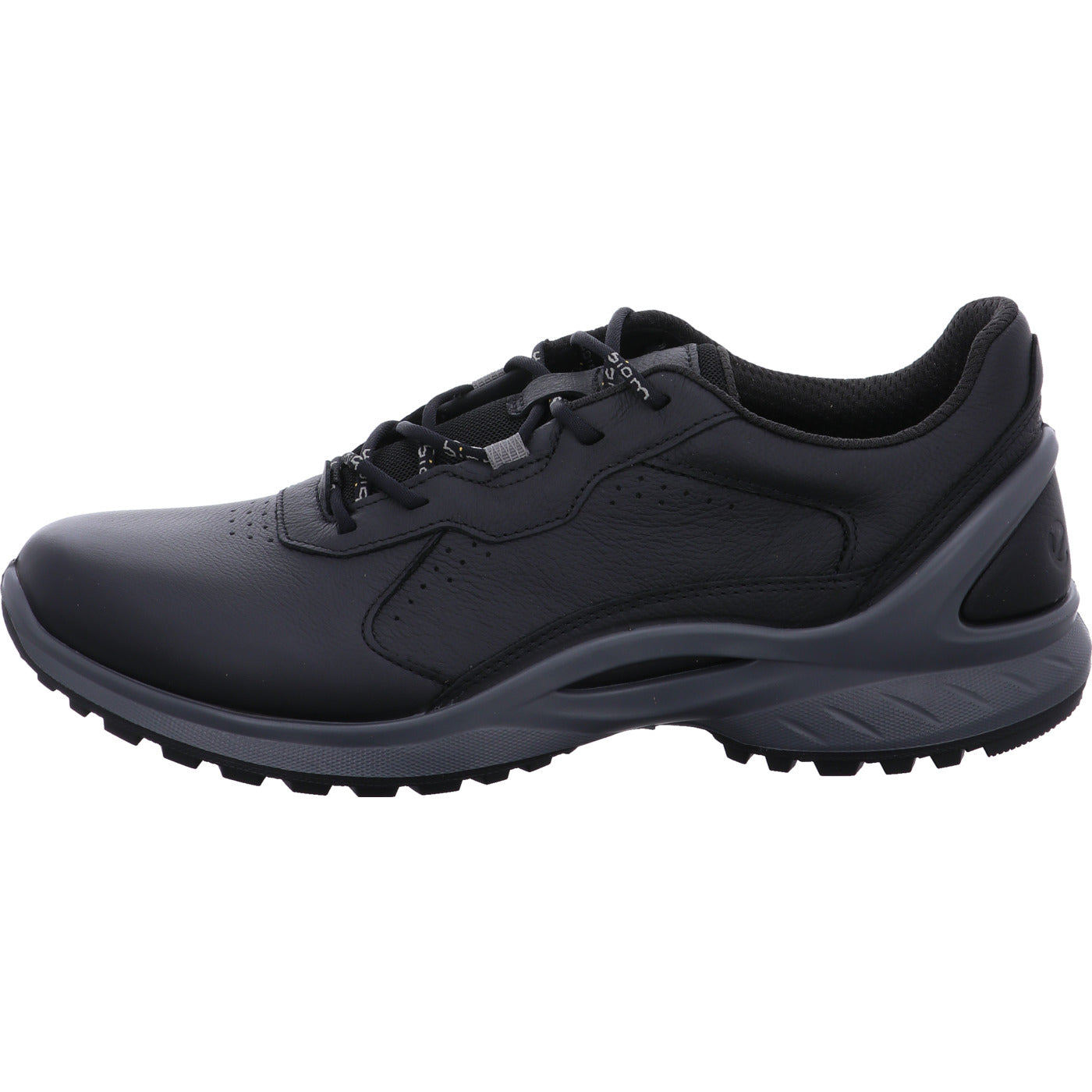 Ecco Schnürschuh BIOM ENERGI M