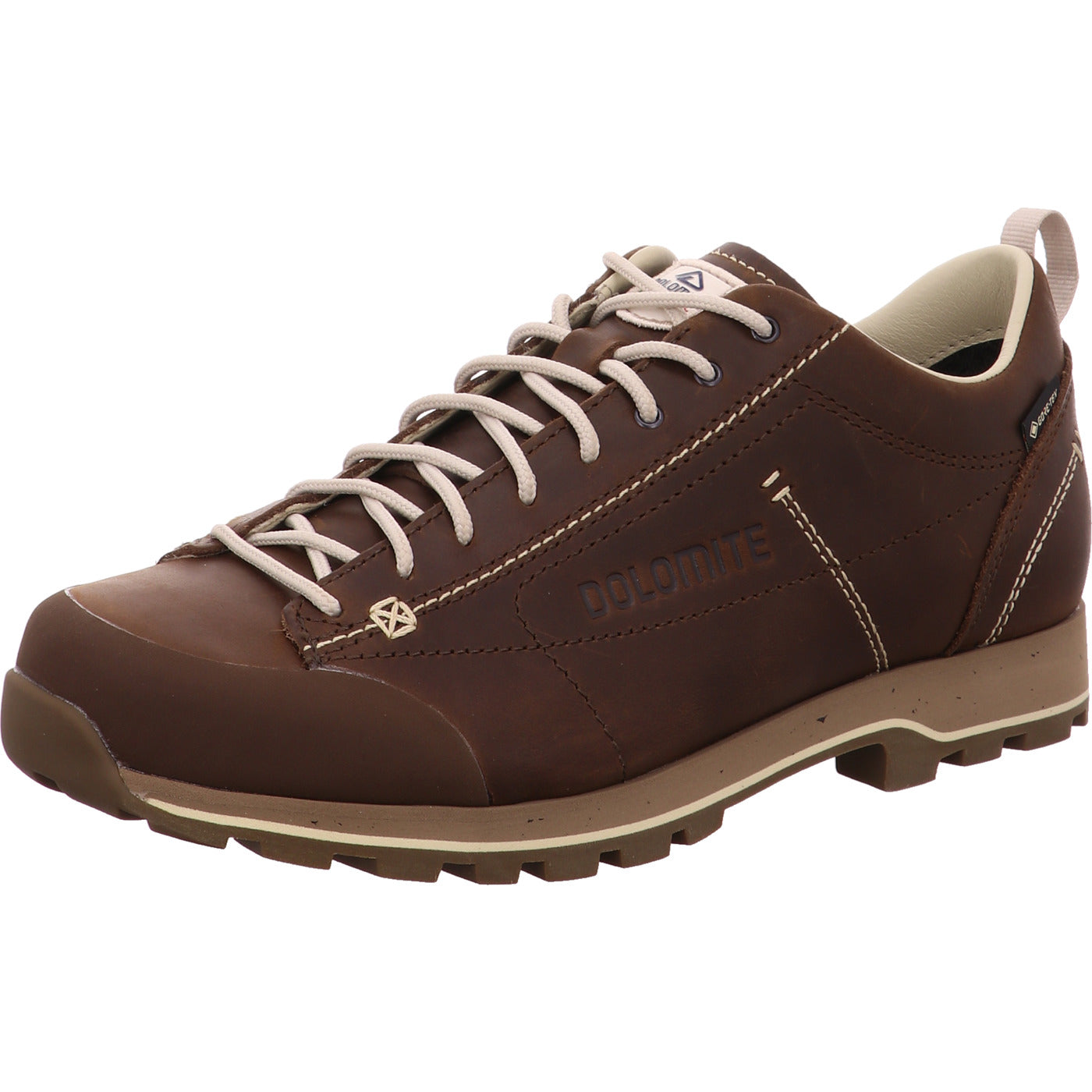 Dolomite Wanderschuh 54 Low Fg Evo GTX
