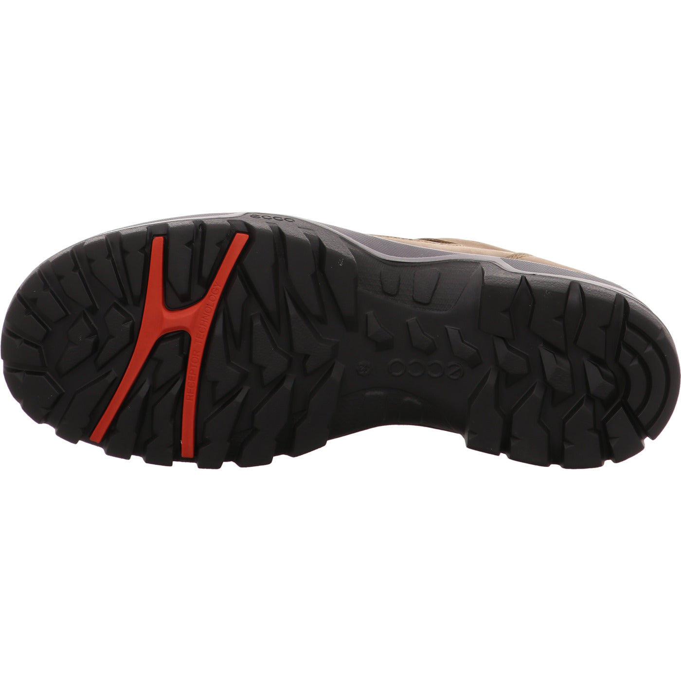 Ecco Wanderschuh RECEPTOR TREKK M braun